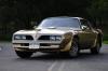 Gold Special Edition 78 Trans Am