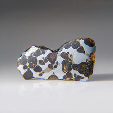 Genuine Brenhama Pallasite Meteorite Slice (23.5 grams) picture