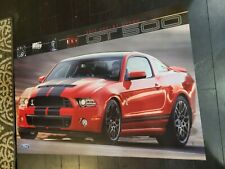 NEW 2013 FORD MUSTANG COBRA SHELBY GT500  24