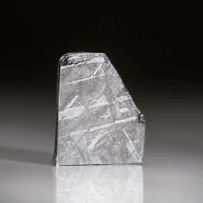 Genuine Muonionalusta Meteorite Slice (6.3 grams) picture