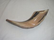 Small Classic Ram Chofar From Israel  Ram's Horn Shofar - Polished Finish New picture
