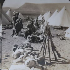 1900 Soldiers Encamped Reading Letters From Home Spanish-American Stereoview 83 picture