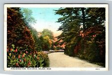Malden MA-Massachusetts Pine Banks Park Scenic Main Drive c1930 Vintage Postcard picture