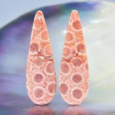 Natural Agatized Fossil Coral Cabochon Pair for Earrings Indonesia 5.23 g picture