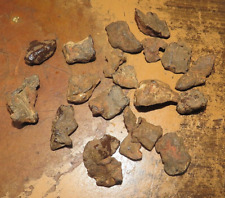 140 GM. LOT OF 20 SMALL Egypt Gebel Kamil Iron meteoriteS complete individuals picture