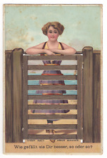Mechanical Postcard Woman Standing At The Gate Unposted picture