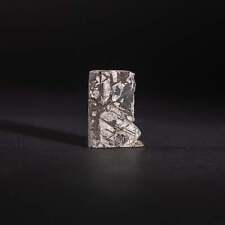 Genuine Muonionalusta Meteorite Slice (32.9 grams) picture
