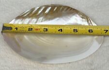 Vintage Genuine MOP Seashell 6 3/4” x 4”’ Beach House Decor Trinket Bowl picture