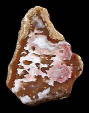 Collectors Grade Agua Nueva Agate from Mexico Polished picture