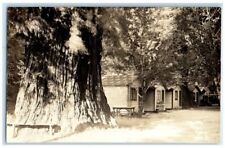 c1930's Rocky Glen Camp Cabin Redwood Tree View CA RPPC Photo Postcard picture