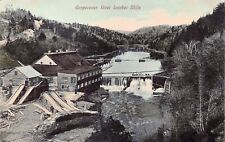 Gaspereau River Lumber Mill Wolfville Nova Scotia now SG Levy Vtg Postcard C40 picture