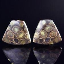 Natural Agatized Fossil Coral Cabochon Pair for Earrings Indonesia 5.94 g picture