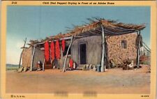 Red Chili Pepper Drying In Front Of Adobe Home Arizona Vintage Postcard spc2 picture