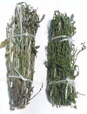 2 x WHITE Fresh Sage CALIFORNIA Smudge Stick Herb   7.5