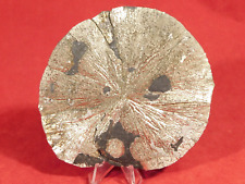BIG Pyrite SUN or Pyrite DISC Crystal 100% Natural From Illinois 180gr picture