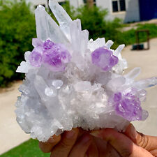 2.07LBRare gorgeousAmethyst and Clear quartz Cluster crystal Symbiotic Specimens picture