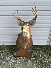 10 Point Buck 9 Inch Front Tines 16 Inch Spread picture