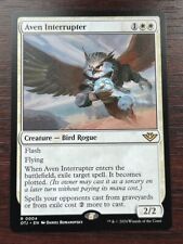 1x AVEN INTERRUPTER - Outlaws - MTG Magic the Gathering picture