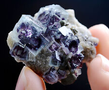 9.7g Natural Phantom Purple FLUORITE Pyrite Mineral Specimen/Inner  Mongolia picture