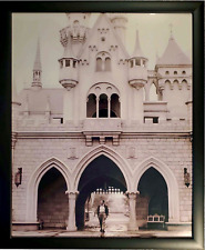 16x20 ✅  Walt Disney Walking thru Sleeping Beauty Castle Disneyland New Frame picture