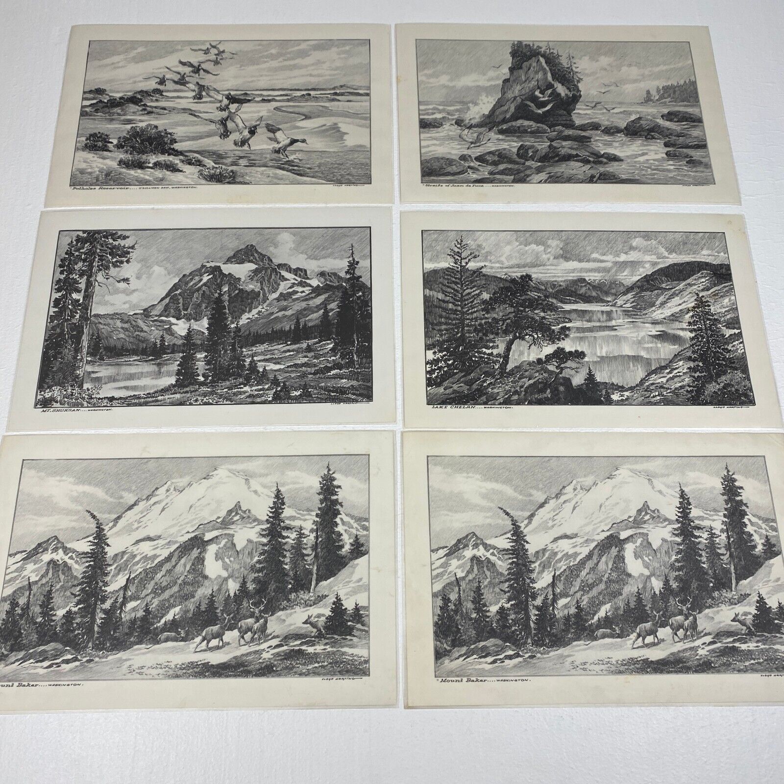 Lloyd Harting Art Sketch Placemat Collection Wa. State 6 Mats Cabin Art Nature