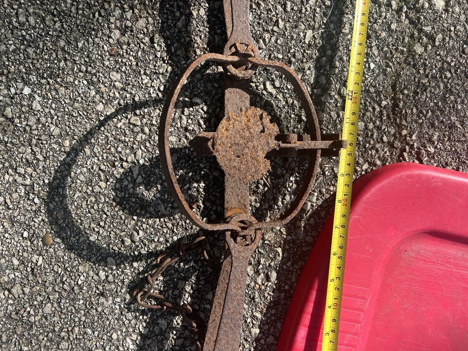 Vintage Victor All Steel Double Long Spring Trap Trapping Very Old 19 INCH LONG
