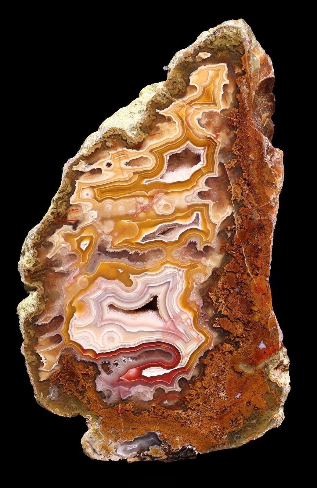 Collectors Grade Agua Nueva Agate from Mexico Polished