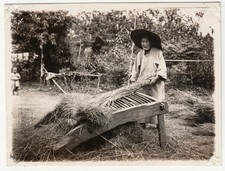 c1920s China Woman Threshing Rice Mactavish Shanghai RPPC Occupational Postcard picture