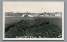 RPPC Cranberry Bog GRAYLAND WA Washington Vintage Real Photo Postcard picture