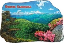 North Carolina Mountain View Artwood Fridge Magnet picture