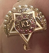 Antique 1929 10K Gold Kappa Epsilon Seed Pearl Ruby Emerald Fraternity Pin picture