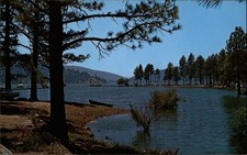 Lake Hemet CA Mountain Landscape Lake vintage postcard a565 picture