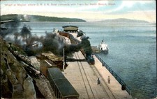 Megler Washington WA OR&N Boat RR Train c1910 Vintage Postcard picture