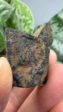 Tantalite- Hill City Mining District, Pennington County, South Dakota, USA picture
