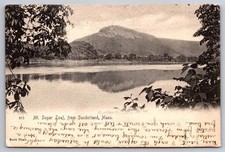 Mt Sugar Loaf Sunderland MA Massachusetts 1906 Shore Line View Postcard picture