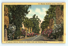 c1940s Kearney Boulevard Fresno California Highway Palms Shrub Linen Postcard G6 picture