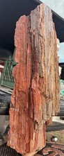 ☘️RR⛏️: Druzy Agate Replaced Arizona Petrified Wood Log, 20” 38lbs 🌈 picture