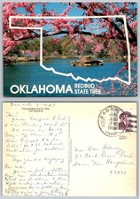 Oklahoma Redbud State Tree Postcard 1989 Paden OK Photo Spring Blossoms picture