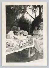 VTG 1940s Photo Four Women Outdoor Picnic Garden Print Tablecloth B&W Snapshot picture