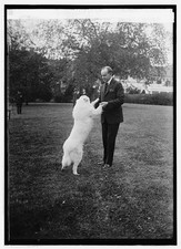Photo:Washington DC President Calvin Coolidge Rob Roy Dog 1924 White House picture
