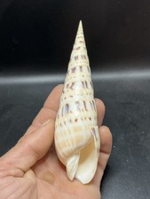 6.10