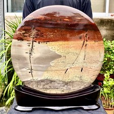 20.7LB Beautiful Natural Chinese Dendritic Limestone Picture Stone Guohua-Rare picture