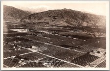 c1930s California RPPC Postcard