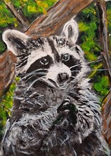 Original ACEO Acrylic Painting Raccoon Backyard Begging Bandit Wildlife picture