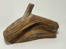 Vintage Hand Carved Natural Wood Lidded Box Rustic Sculptural Branch Handle picture