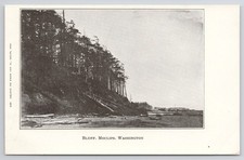 Bluff Moclips Washington postcard picture