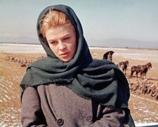 Julie Christie as Lara in rural setting 1965 Doctor Zhivago 5x7 photo picture