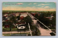 Antique Michigan Postcard STURGIS Birdseye View Street Scene 1910 picture