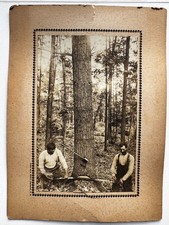 Early 1900s Antique Photograph Men Logging Photo Ackland Eddy Claremont NH 11x8 picture