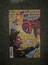 PUNISHER VS. SPIDER-MAN #2 MARVEL NM picture